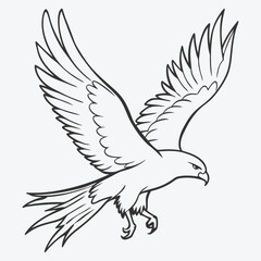 Soaring Black Kite Bird in Flight  Elegant Line Art Design