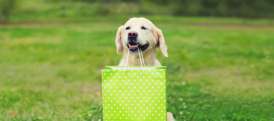Happy Golden Retriever dog holding green shopping bag in the teeth in park