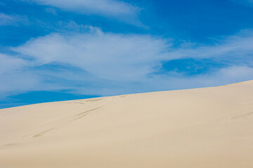 Summer landscape, White sand dune wall under blue sky, The Dutch north sea coastline is made up of coastal dune systems, Protect the land against the sea, Nature sand pattern texture background.