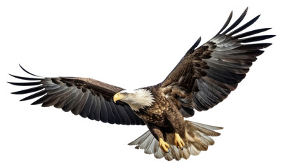 Fototapeta premium PNG Eagle flying animal bird white background.