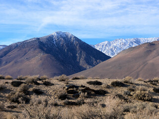 Mojave Landscapes