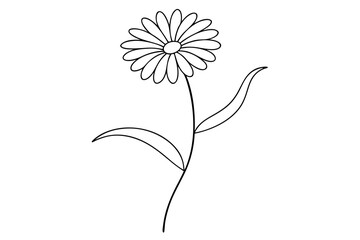 Elegant Aster Flower in Continuous Single Line Drawing - Minimalist Line Art Vector Illustration