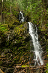 Shades Of Green Surround Ranger Falls In Mount Rainier