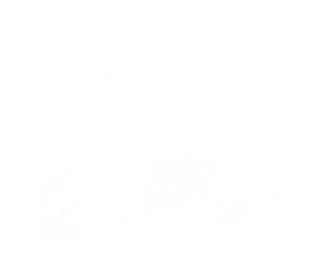 PNG Scratch element effect, transparent background