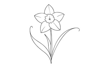 Elegant Line Drawing of Daffodil Detailed Line Art Vector Illustration