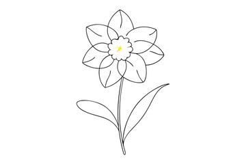 Elegant Line Drawing of Daffodil Detailed Line Art Vector Illustration