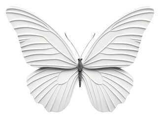 Obraz premium PNG Butterfly animal insect invertebrate.