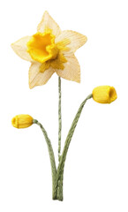 PNG Embroidery of daffodil flower plant inflorescence.