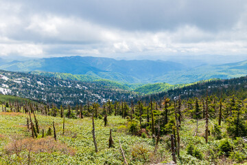 Naklejka premium 日本の風景・春 雪解けの八幡平 