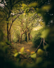 Gdańsk © Tomasz Piotrowicz