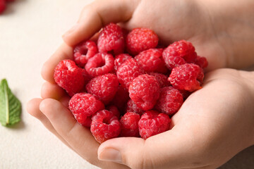 Female hands holding fresh raspberries on white background