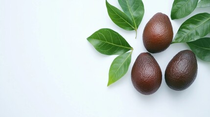 Fresh Avocados with Leaves