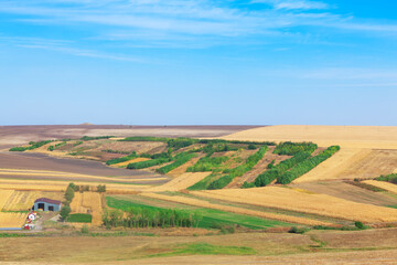 Scenic farm with barn and expansive fields stretching into the distance under a clear blue sky. Agriculture land in the summer season