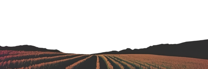 PNG Sky landscape astronomy outdoors.