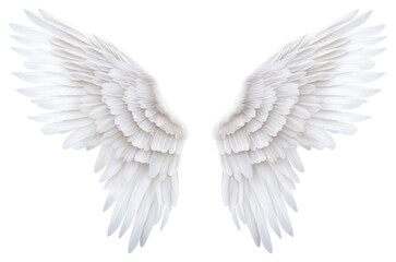 Obraz premium PNG Wings angel bird white.