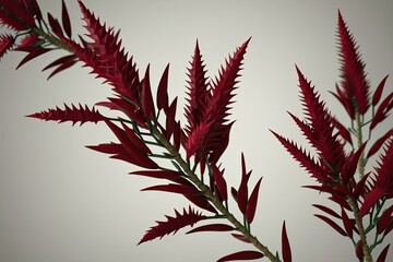 Fototapeta premium 3D Exploration of Banksia Spinulosa on a Pure Background with Barbed Leaf Artistry and Ruby Tones