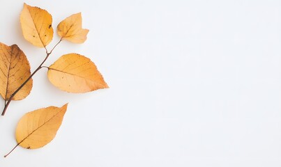 minimalistic autumn leaves, Generative AI