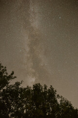 Night Sky with Milky Way Over Trees at Bluestem in Sprague, NE