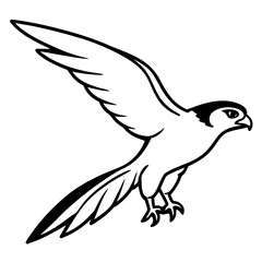 illustration of a dove