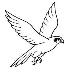 white dove flying