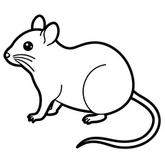 mouse on white background
