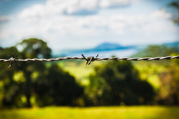 barbed wire fence