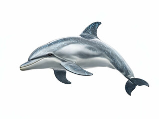 Fototapeta premium A stunning dolphin swimming gracefully in deep waters, showcasing its elegant form and playful spirit. Perfect for ocean-themed projects.