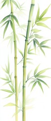 Fototapeta premium A serene illustration of bamboo stems showcasing vibrant green leaves, embodying tranquility and natural beauty.