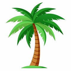 palm tree vector illustration