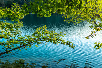 Beautiful peaceful landscape with forest lake. The tranquil transparent waters of lake in the background. Beautiful nature lake. Landscape Reflection off of a clear lake water surface.