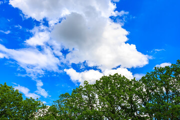 The sky is blue and cloudy, background