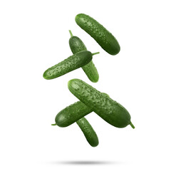 Whole ripe cucumbers falling on white background