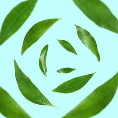 Green leaves whirling on light blue background, selective focus