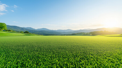 Golf teeing ground in golf course with sunrise background. 