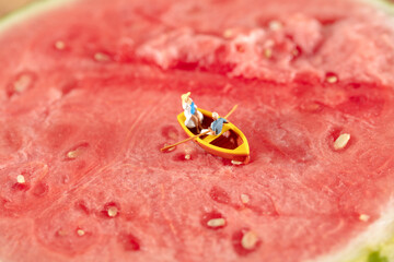 Miniature world red flesh watermelon rowing