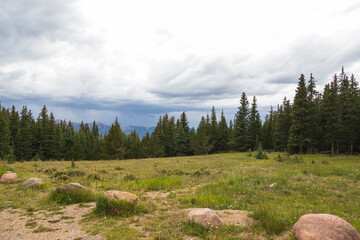 Forest in the mountains at Cordova Pass, Colorado