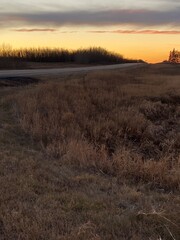 sunset in the field