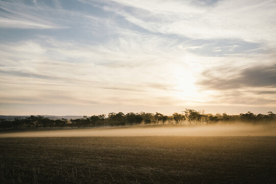Dust settling over paddock on sunset during dry seeding in the Avon Valley of Western Australia