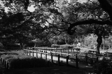 bridge over the river