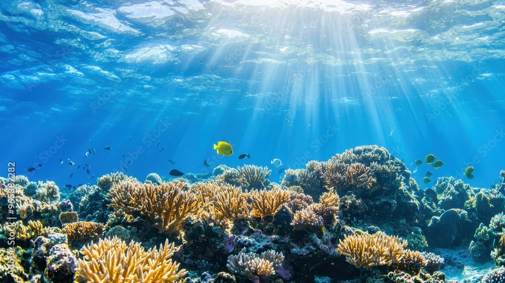 Sticker underwater coral reef scene with sunbeams and fish