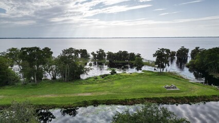 lake and forest