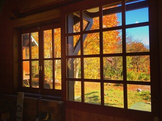 Autumn View Through the Window
