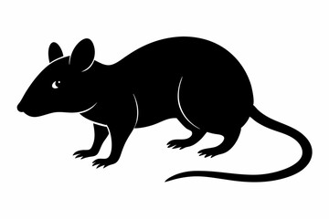 silhouette of ret, mouse icon, mouse rat silhouette isolated on white background