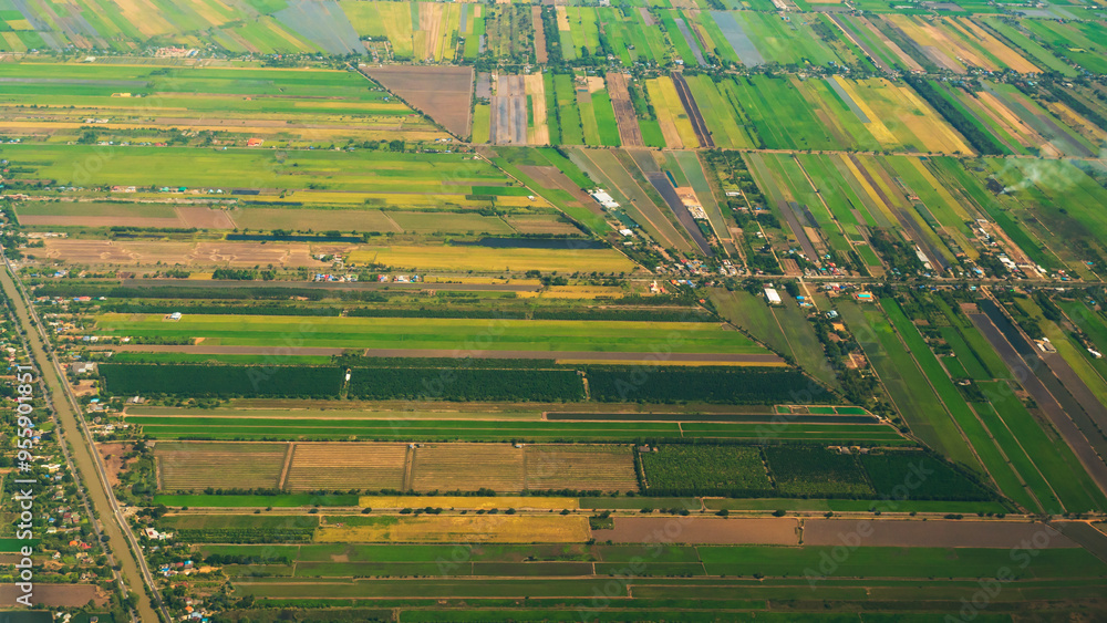 Wall mural aerial view green paddy rice terrace land. aerial drone shots summer tropical in summertime on sunny