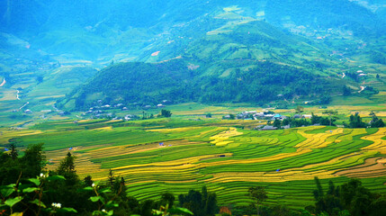 Rice terrace Field Green agriculture rainny season dark cloud amazing landscape. Sustainable Ecosystem rice paddy field Vietnam green nature farm land. Golden green rice terraces tropical landscape