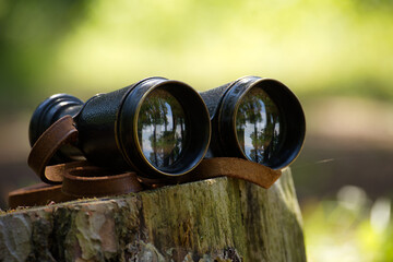 Vintage binoculars resting on mossy tree stump in forest setting