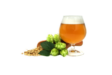 Glass of craft beer paired with fresh hops and barley isolated on white background
