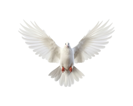 White doves in flight with spread wings symbolize peace and freedom, making them suitable for designs related to themes of hope, love, spirituality, and nature