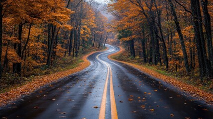 Autumn Road