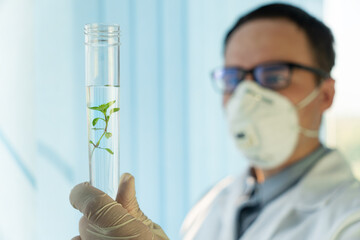 Handsome male microbiologist looking at a green plant in a test tube. Laboratory biologist conducts...